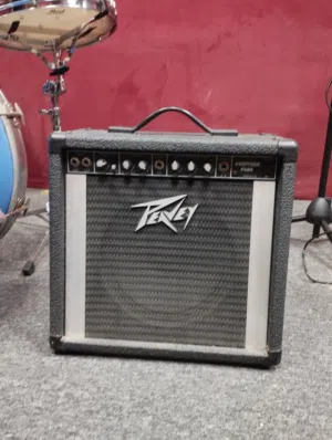 PEAVEY for sale