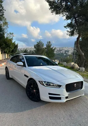 جاغوار-xe-2019