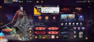 بدر الدين تركماني 