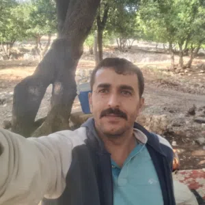فادي الضمور 