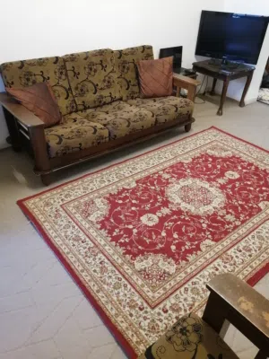 سجادة (شرقية فخمة) بحالة جيدة جداً للبيع