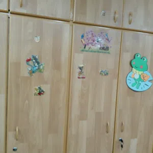 خزانة تفصيل خشب زان كبيرة للبيع