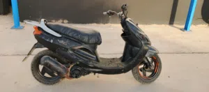 اكزز للبيع بسعر مناسب