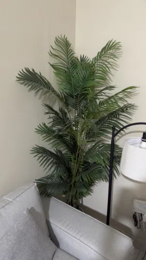 نباتات صناعيه artificial plants