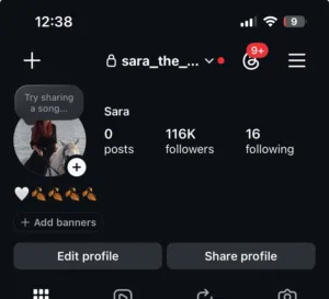 Insta 116k followr account