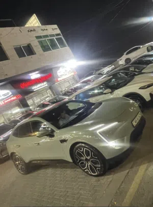 أفاتار 11 فل كامل فحص كامل مميزة ((قابل للبدل))