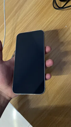 iPhone 13 Pro
