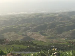 Farm Land for Sale in Salt Al Maghareeb