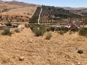 Residential Land for Sale in Zarqa Birayn