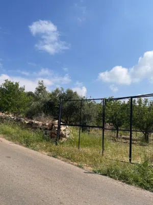 Farm Land for Sale in Ajloun Sakhra