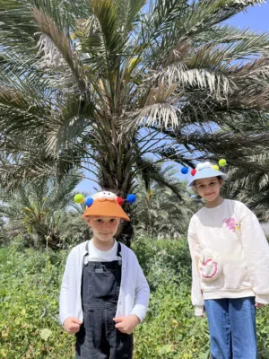 مزرعه نخيل مجهول عمر 12 سنه مثمر يوجد بيت جميل للبيع او الضمان