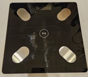 weight scale
