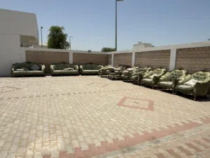 كنب لون اخضر فاتح