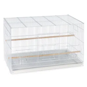 14 قفص للبيع 14 cages for sale