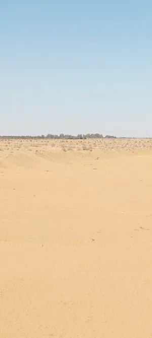 ارض ف بدر بسعر رخيص