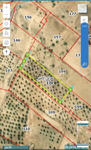 Farm Land for Sale in Amman Iraq Al Ameer