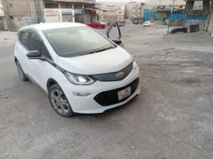 شفر بولت 2019