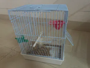 قفص طيور صغير