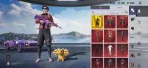 Pubg Accounts and Characters for Sale in Ibb