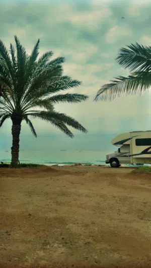 عائشة عبدالله اليماحي 