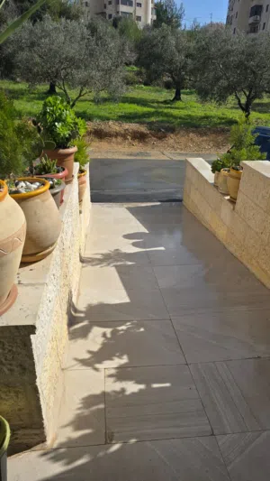 مجد أبو نور الدين