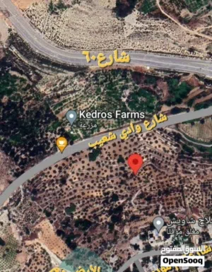 Mixed Use Land for Sale in Salt Wadi Shua'ib