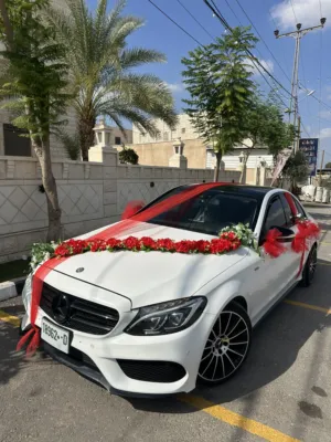 مهدي-ابو-جابر