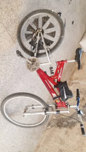 بسكليت للبيع