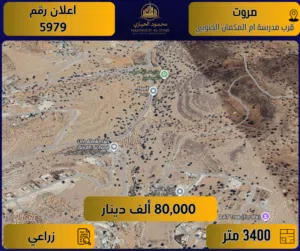 Farm Land for Sale in Zarqa Sarout