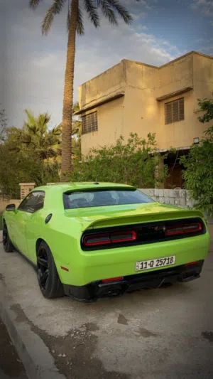 جالنجر تفاحيه 2023 لاست كول
