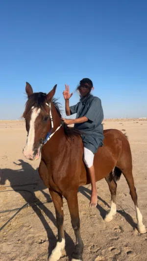 خيل عربي للبيع او البدل بشي مناسب