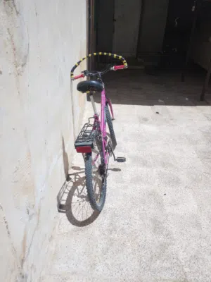 بسكليت اصلي امريكي