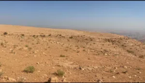 Farm Land for Sale in Zarqa Birayn