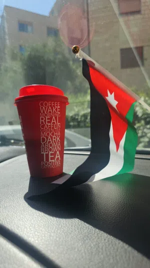مجد محمد 