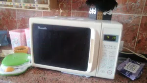 مايكرويف وفرن غربي