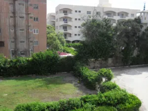 شقه للبيع في اسكندريه