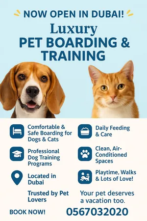 Pets Grooming1