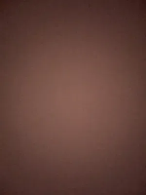 مطلوب ديك هراتي ميدان تابع الوصف