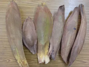 طلح نخيل للبيع