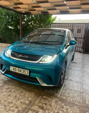 سيارة بي واي دي دولفين 2022 كهربائية