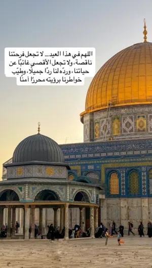 Ahmed Ali 