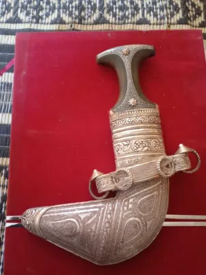 النجم الساطع 