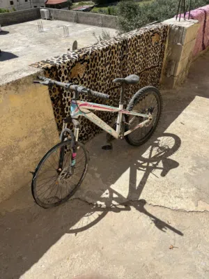 بسكليت نمره26 و بسكليت نمره20 وبسكليت نمره 10