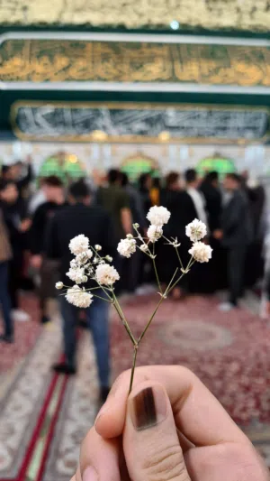 احمد يحيى الدين 