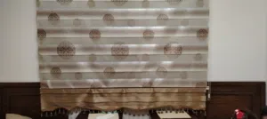 برادي زيبرا