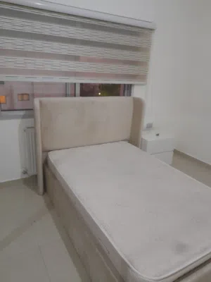 اتخوت مفرد جودة عالية