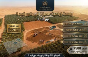 Farm Land for Sale in Salt South Shuna