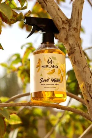 معطرات جو بخاخ عيدان وسيارات