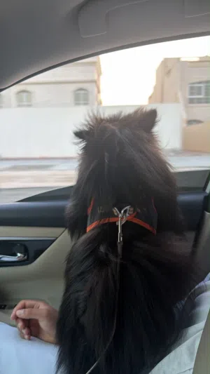 juru bumiranyan lilbaye