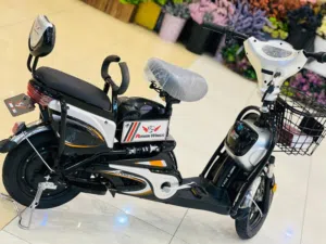 Rohan Wings JML Mopet Electric Bike – 16 Inch Big Tyres  4 Batteries for Extended Range  Pedal